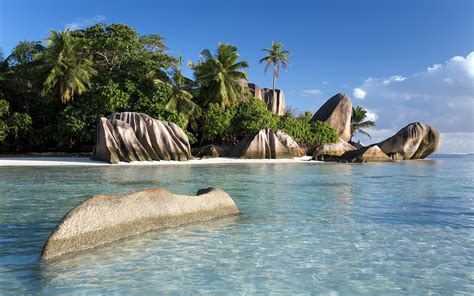 Seychelles Rives De La Mer Plage Nature Haute Qualité Fond Décran