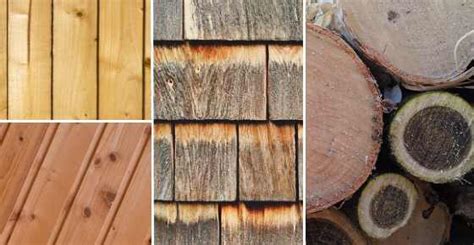 Different types of furniture used in different rooms! Types of Wood for Woodworking and Furniture (With Pictures ...
