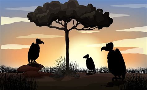 Free Vector Outdoor Nature Silhouette Sunset Scene