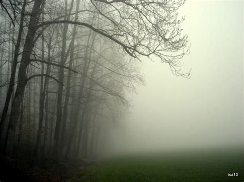 Foggy Days Isathreadsoflifes Blog