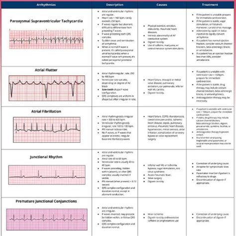 Basic Ekg Interpretation 3 Pages Long Printable Pdf Etsy Ekg