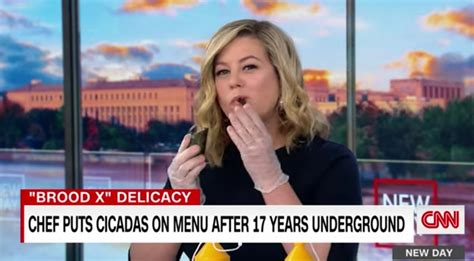 Cnn Host Eats Brood X Cicadas On Live Television Occidental Dissent