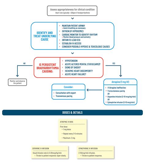 Ischemic Stroke Acls Algorithm 2020 Aha Code Blue Algorithm Xyz De