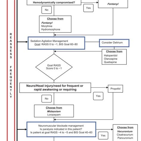 It was developed with efforts of different practitioners, represented by physicians, nurses and pharmacists. Sedation outcomes. Abbreviation: RASS, Richmond Agitation ...
