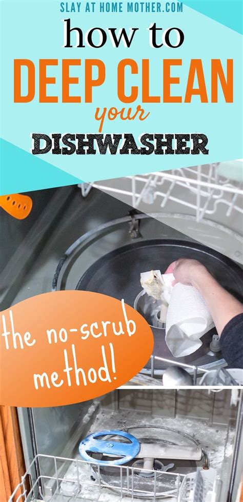 How To Clean A Smelly Dishwasher Cleaning Your Dishwasher Clean
