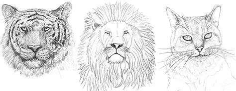↗abbilden · ↗abmalen · abzeichnen · bildlich darstellen · ↗darstellen · ein bild machen · ↗fotografieren · ↗konterfeien · ↗malen · ↗nachzeichnen · ↗porträtieren · ↗repräsentieren · ↗wiedergeben · zeichnen. Einen Tiger malen und zeichnen