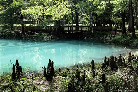 Blue Hole Spring Photograph By Debra Forand Pixels