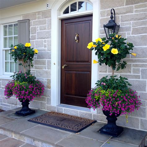 Hibiscus Planters Front Yard Landscaping Front Yard Porch Planters