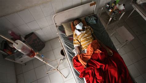 Division of tuberculosis elimination homepage. Coronavirus: Hasta 1,4 millones más de muertes por ...