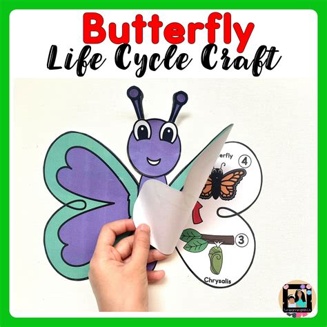 Butterfly Lifecycle Craft Made By Teachers
