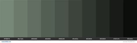 Shades Of Davys Grey Color 788878 Hex Colorswall