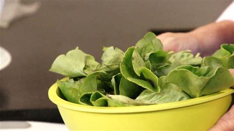 How To Wash Leafy Greens Youtube