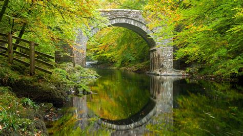 Download Wallpaper Autumn Forest Trees Bridge Reflection River