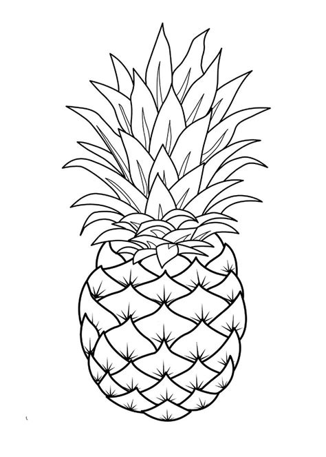 Pineapple coloring page for preschool. Pineapple coloring pages to download and print for free