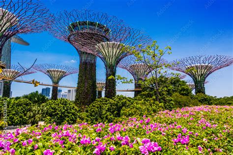 Gardens By The Bay Nature Park In Singapore Stock 写真 Adobe Stock