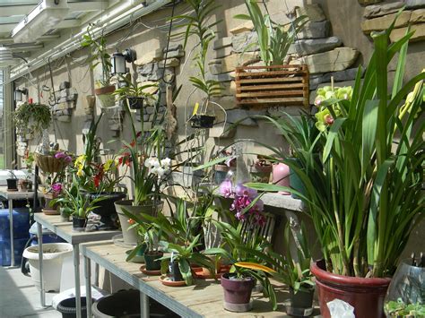 Diy Indoor Orchid Greenhouse Greenhouses Diy