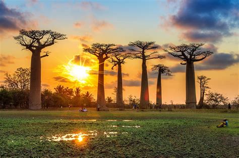 The main island, also called madagascar, is the fourth largest island in the world. Madagascar | Destinos | Kangaroo Tours