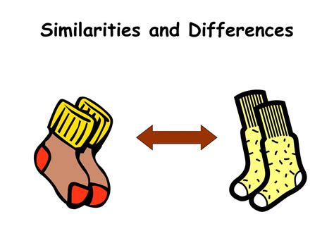 Similarities And Differences