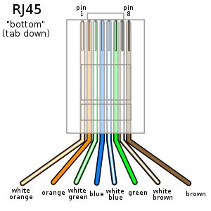 A cat 5 cable contains 8 wires and has a specific wire order. File:Cat5-plain.svg - Wikimedia Commons