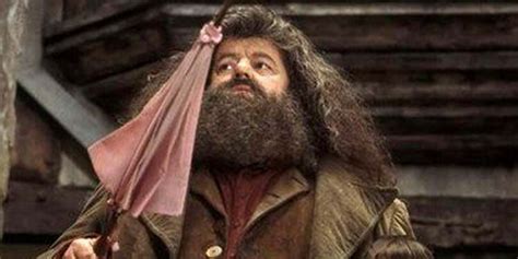 Harry Potter 10 Reasons Why Hagrid And Dumbledore Arent Real Friends