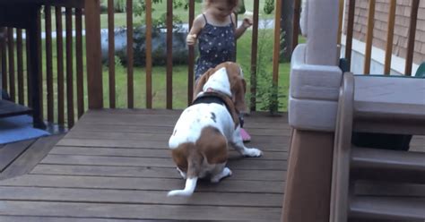 Watch This Ridiculously Cute Girl And Her Dog Enjoying A Dance Off