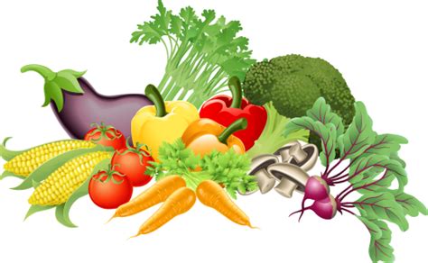 Free Vegetable Cliparts Download Free Vegetable Cliparts Png Images