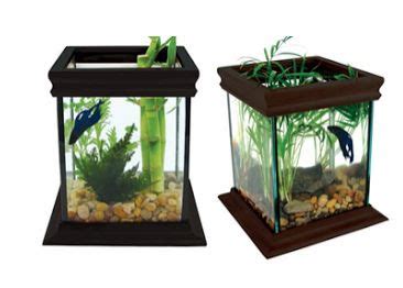 Aneka model rumah tampak depan. Model Aquarium Toples Unik Harga Murah | Aneka Budidaya