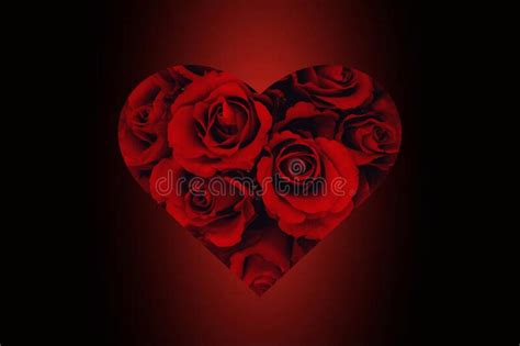 Beautiful Red Roses In A Heart Shape Isolated On A Black And Red