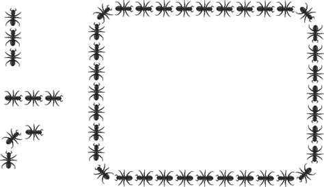 Ant Border Rectangle Clipart Royalty Free Public