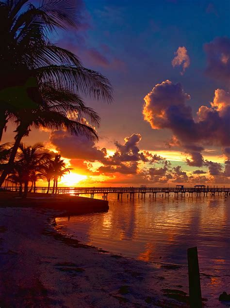 Summer Paradise Clouds Ocean Palm Trees Sunset Vacation Tropical