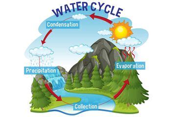 Selain penjabaran di atas, contoh sederhana dalam proses evaporasi ini adalah terjadinya hujan. Evaporasi Adalah / Proses Penguapan Air Di Permukaan Bumi ...