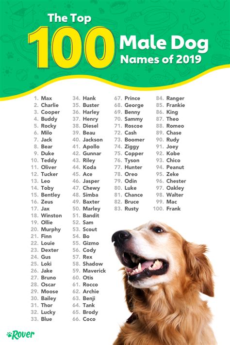 Pin By Amy Rose On Animals Dog Names Puppy Names Popular Dog Names