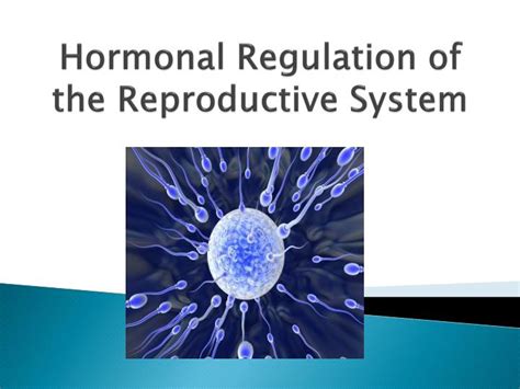 Ppt Hormonal Regulation Of The Reproductive System Powerpoint Presentation Id2765061