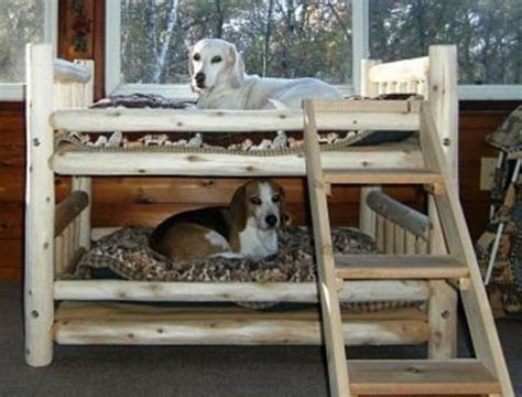 Fabulous Dog Bed Design Ideas Your Pets Will Enjoy The Owner Builder