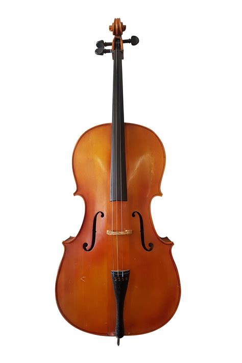 Lot 12 A Modern Cello 8th To 21st May 2018 Auction