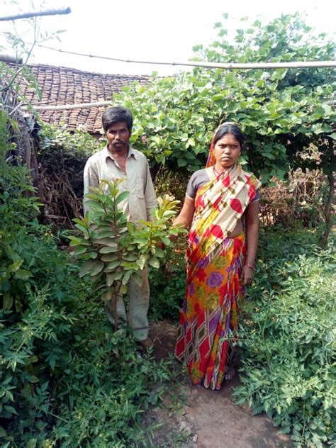 Planting 51000 Fruit Trees For Marginal Farmers In Villages Around