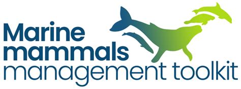 Entanglement – OCEAN GOVERNANCE MARINE MAMMALS