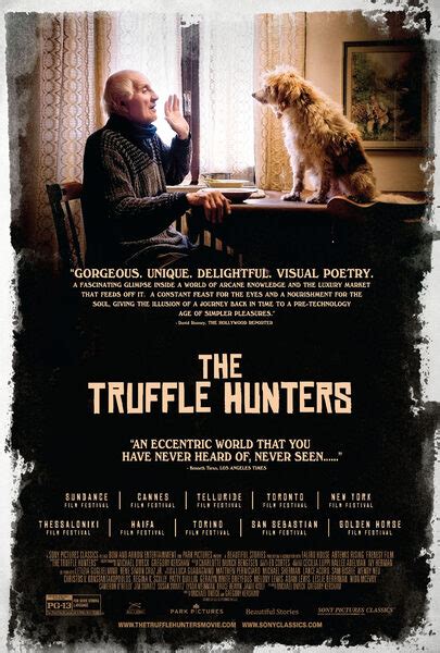 The Truffle Hunters - Movie Trailers - iTunes