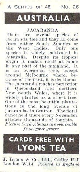 Jacaranda Card 1959 Queensland Historical Atlas