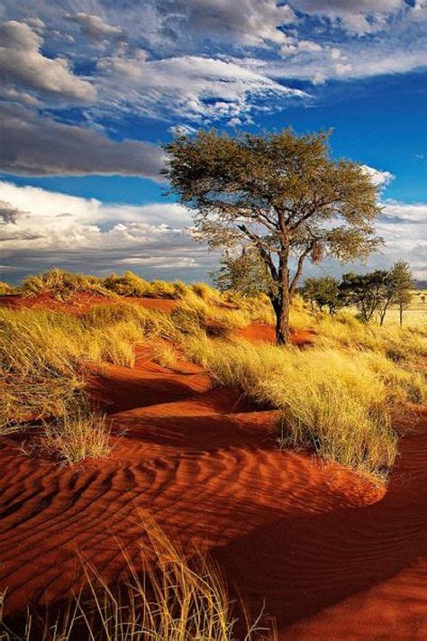 94 Australian Desert Ideas Australian Desert Aerial View Outback