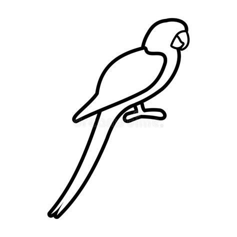Parrot Icon Outline Style Stock Illustration Illustration Of Legs
