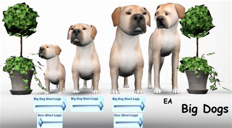 All Ages Big Dog Sliders By Oneeuromutt Слайдеры и моды для питомцев