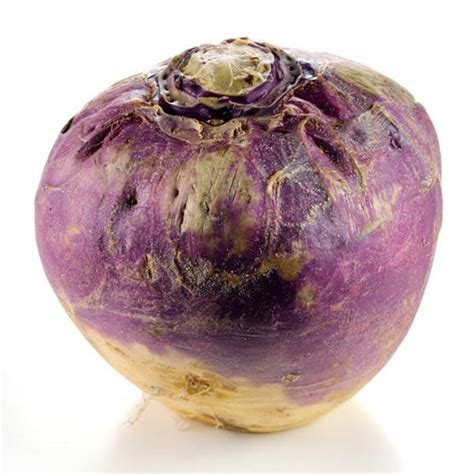 Just below the answer, you will be guided to the complete puzzle. SWEDE Champion Purple Top - Turnip & Swede - Australian Seed
