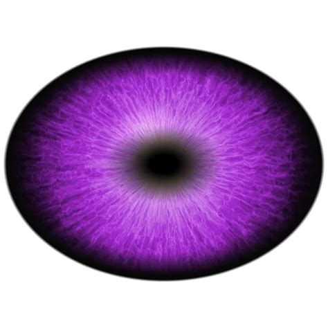 Pictures Purple Eyes Isolated Purple Eye Monster Eye With Striped