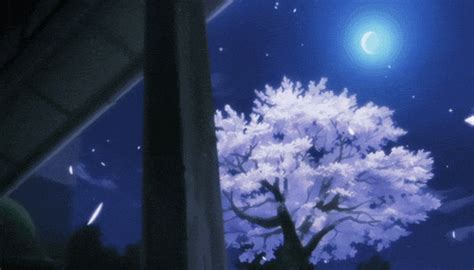 Ideas For Anime Night Wallpaper Cherry Blossom Tree