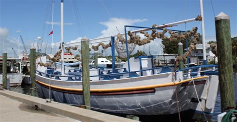 If you live in tarpon springs, fl and you want to call a friend in moscow, russia, you can try calling them between 12:00 am and 4:00 pm your time. Tarpon Springs, FL | Greek Sponge Docks | Sarasota Day ...