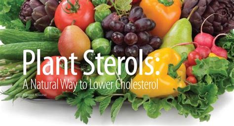 Top 7 Foods That Lower Cholesterol