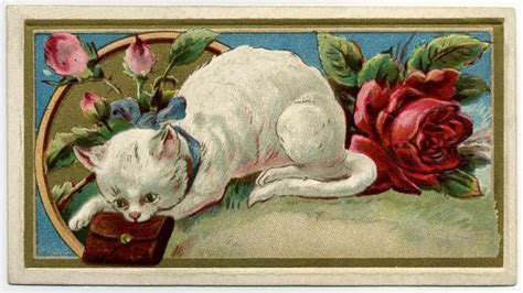 Pin By 𝕷𝖎𝖇𝖊𝖗𝖙𝖞 𝕸𝖆𝖗𝖎𝖊 𝕭𝖊 On Art Victorian Cats Kittens Vintage