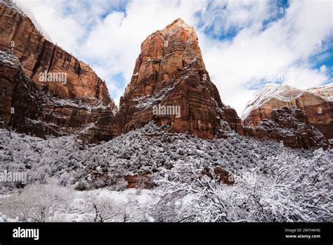 Winter Snowfall In Zions National Park Utah Usa This Magnificent