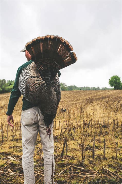 Western Kentucky Turkey Hunting